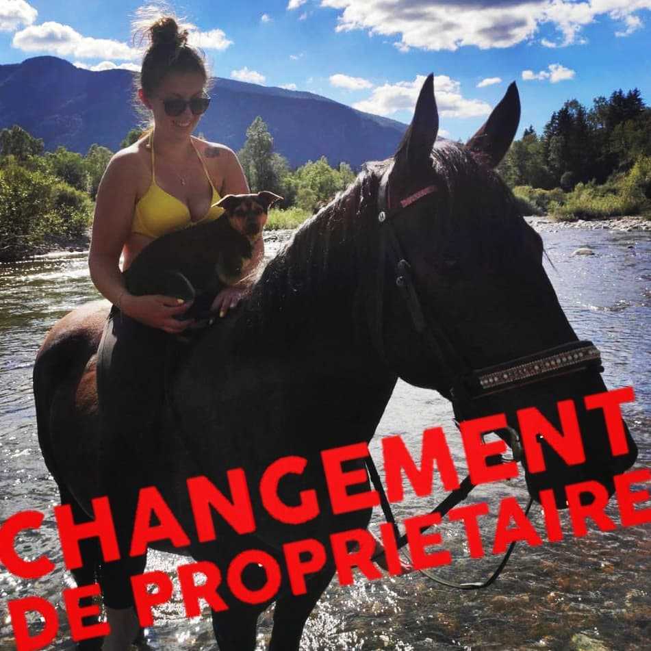 🔥 Inscriptions ouvertes aux écuries du Cha'let ! 😎
Je suis pressée de vous accueillir nombreux, à tout âge pour vous faire découvrir, redécouvrir ou perfectionner votre équitation ! 💪🏻😍
N'hésitez pas à consulter le site Internet pour tous renseignements ! 🤓 (lien dans la bio)