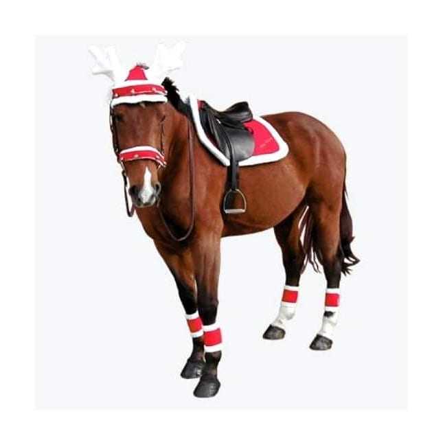 🎁 Le 25 décembre arrive à grand pas ! Estelle et moi seront en vacances ce jour là... J'appelle donc à candidature mes petites élèves (G4 minimum) qui seront disponibles pour s'occuper d'un cheval (ou plusieurs) ce jour là : monte, balade, liberté comme vous le souhaitez, pour qu'ils ne passent pas Noël tous seuls dans leur box ! 🦄🎅
N'hésitez pas à m'envoyer un msg pour que je puisse m'organiser !
Merci à vous, et merci pour eux ! 😍
À bientôt !
(Premiers arrivés, premiers servis)