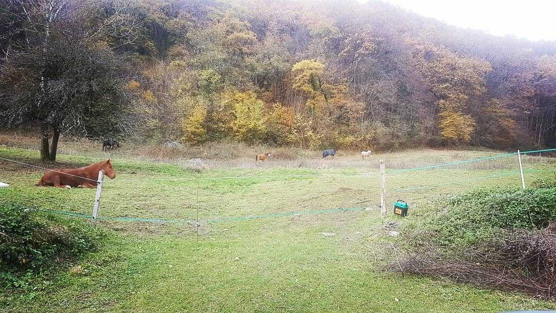 Tout se passe bien pour eux je crois ! 🤗😍