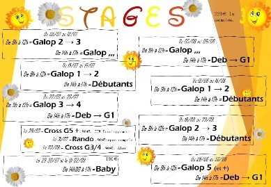 ⚠️ ALERTE ⚠️
LES INCRIPTIONS POUR LA RENTRÉE 2024/2025 SONT OUVERTES !!
📝 Uniquement au bureau !! 🐎
🌞 Les stages d'été sont également ouverts aux inscriptions !! 🦄
