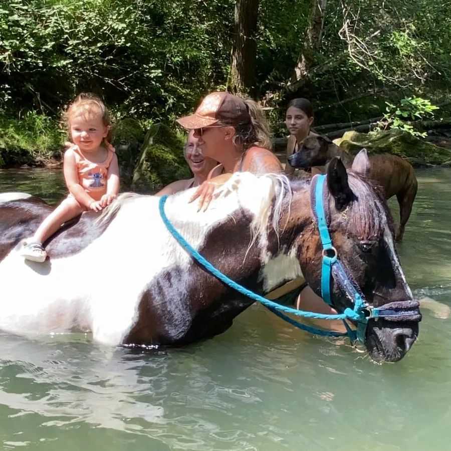 🦄 C'est parti pour les vacances des poneys ! 🌞
Comme chaque année, merci de jouer le jeu et de ne pas aller les voir, qu'ils soient en véritable coupure jusqu'au 09 septembre ! On se retrouve le 10 pour le début des cours ! 🐎
Merci à vous à bientôt ! 🥰